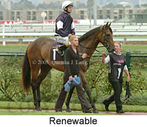 Renewable (14872 bytes)