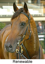 Renewable (14872 bytes)