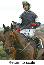 Return to scale (15361 bytes)