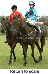 Return to scale (15361 bytes)