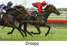 Droopy (14872 bytes)