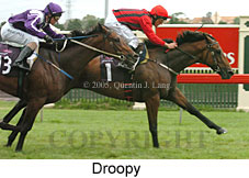 Droopy (14872 bytes)