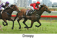 Droopy (14872 bytes)