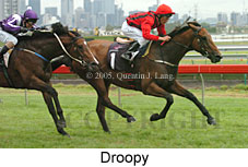 Droopy (14872 bytes)