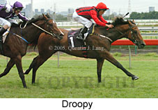 Droopy (14872 bytes)