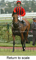 Return to scale (15361 bytes)