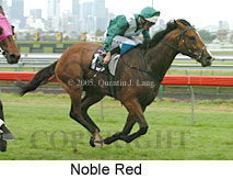 Noble Red (18229 bytes)