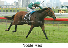 Noble Red (14872 bytes)