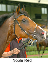 Noble Red (14872 bytes)