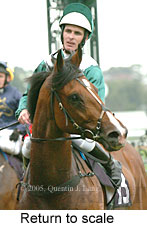 Return to scale (15361 bytes)