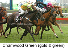 Charnwood Green (14872 bytes)