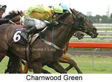 Charnwood Green (14872 bytes)