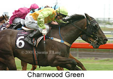 Charnwood Green (14872 bytes)