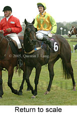 Return to scale (15361 bytes)