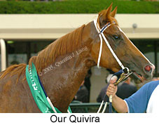 Our Quivira (14872 bytes)