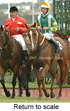 Return to scale (15361 bytes)