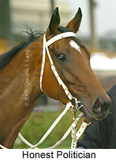 Honest Politician (14872 bytes)