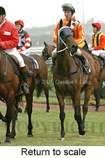 Return to scale (15361 bytes)