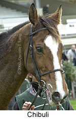 r1chibuli2.jpg (12705 bytes)