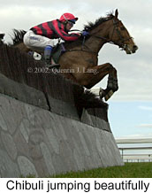 r1chibuli3.jpg (12093 bytes)