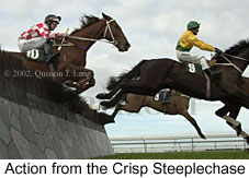 r1crisp2002_2.jpg (13847 bytes)