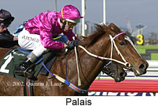 r2palais.jpg (15752 bytes)