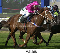 r2palais2.jpg (16051 bytes)