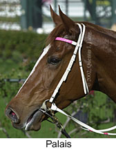 r2palais3.jpg (12610 bytes)