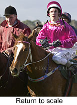 r2rtosc.jpg (13962 bytes)