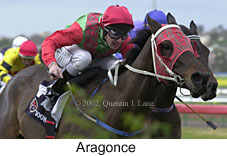 r3aragonce.jpg (13429 bytes)