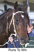 r5runstowin3.jpg (12479 bytes)