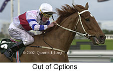 r6outofoptions.jpg (11670 bytes)