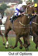 r6outofoptions2.jpg (13858 bytes)