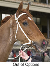 r6outofoptions3.jpg (13739 bytes)