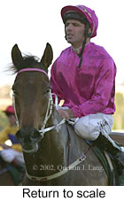 r7rtosc.jpg (11028 bytes)