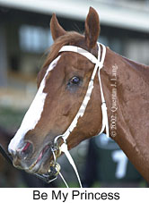 r8bemyprincess.jpg (12392 bytes)