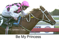 r8bemyprincess2.jpg (12497 bytes)