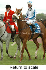 Return to scale (17769 bytes)