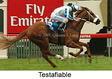 Testafiable (21625 bytes)