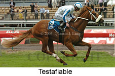 Testafiable (21625 bytes)