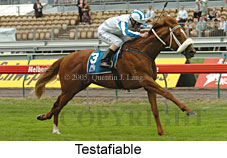 Testafiable (21625 bytes)