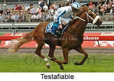 Testafiable (21625 bytes)