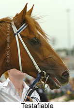 Testafiable (21625 bytes)