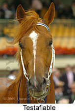 Testafiable (21625 bytes)