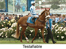 Testafiable (21625 bytes)