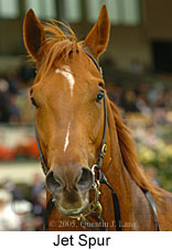 Jet Spur (21625 bytes)