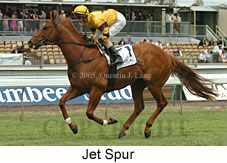 Jet Spur (21625 bytes)