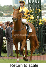 Return to scale (17769 bytes)