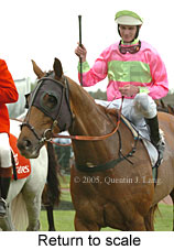 Return to scale (17769 bytes)