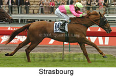 Strasbourg (21625 bytes)